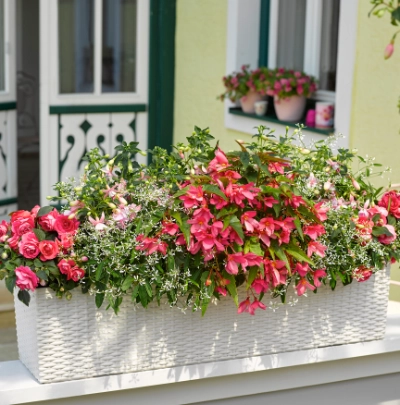 rattan blumenkasten fensterbank Rattan-Balkontopf RATOLLA: 50 cm in Anthrazit – Kreher Technik main image 1