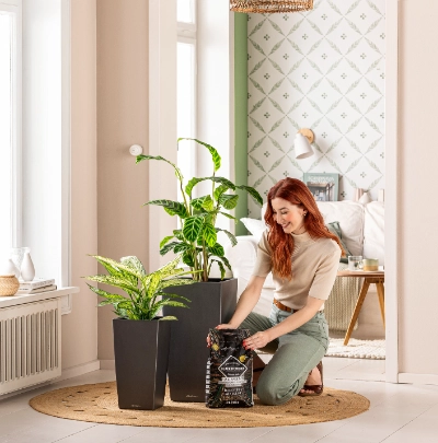 Blumentöpfe & Pflanzkästen