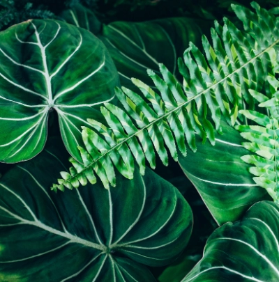 Noch keine Mein Dehner Karte?