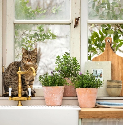 Weitere Tipps & Trends