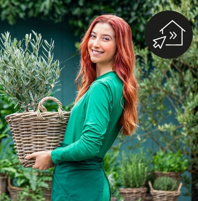 Click & Collect – Online bestellen, im Markt abholen