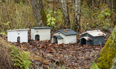 50+ Garten Dehner Bad Dürrheim Tiere, Sowie das passende zubehör,