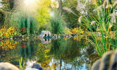 Der perfekte Teich Dehner
