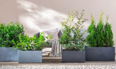 Top 5 Sichtschutz Garten Dehner
