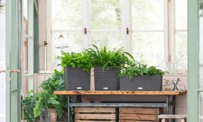 Lechuza – Pflanzgefäße mit intelligenter Bewässerung