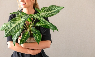 banana artificial plant Artificial Banana Plant for Decoration main image 1