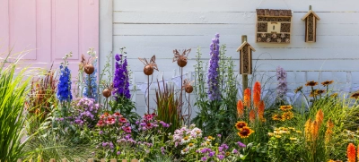 Alles fürs Insektenparadies Dehner