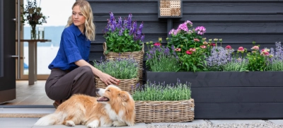 Pflanzen Marken bei Dehner