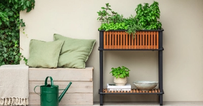Angebote rund um Garten, Pflanzen & Co. Dehner