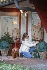 Kübelpflanzen überwintern