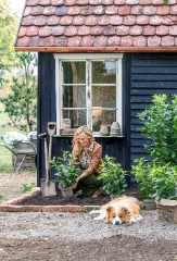 Immergrüne Pflanzen