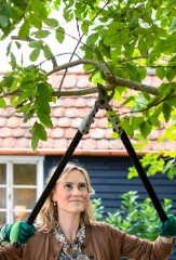 Obstbäume schneiden