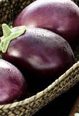 Auberginen