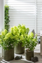 Sitzgelegen&shy;heiten