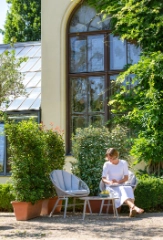 Top 5: Pflege&shy;leichte Hecken