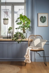 Top 10: Pflanzen für Heizungs&shy;luft