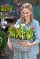 Gartenarbeiten im März