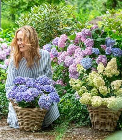 Dehner: Ihr Online Shop fr Garten, Pflanzen, Balkon & Tiere | Dehner