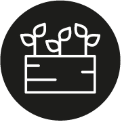 Balkon- & Terrassenpflanzen