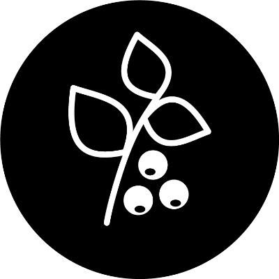 Beerenobst & Obstbäume