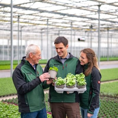 Effiziente Arbeitsweisen