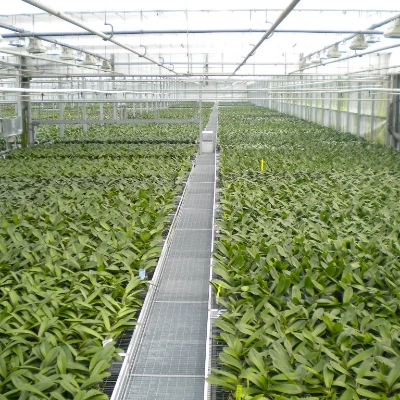 Energie & Ressourcen