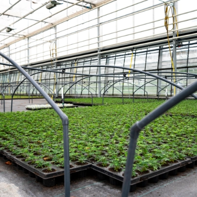 Energie & Ressourcen