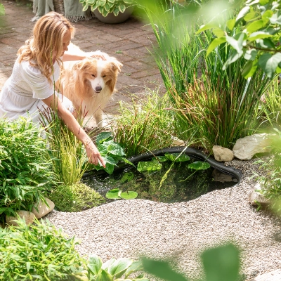 Der perfekte Teich Dehner