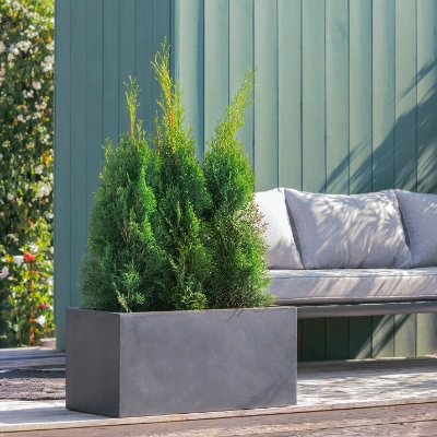 Hecke am laufenden Meter®