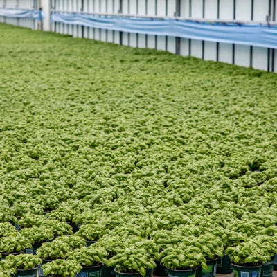 Energie & Ressourcen