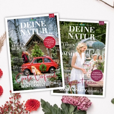 48+ Dehner Kempten Öffnungszeiten, Dehner kempten in füssener