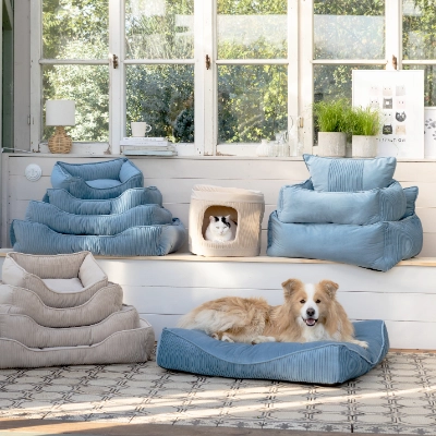 Kuschelzeit für Hunde & Katzen