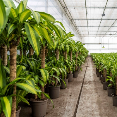 Energie & Ressourcen