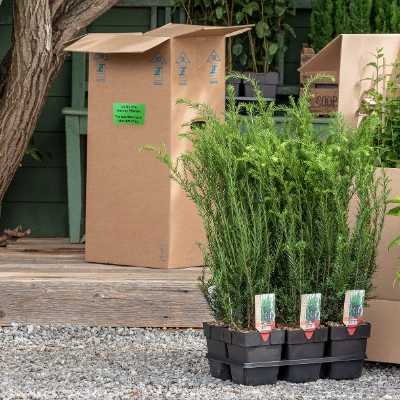 Behutsamer Transport