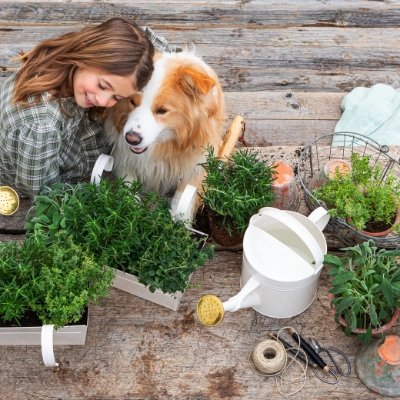Dehner Ihr Online Shop für Garten, Pflanzen, Balkon & Tiere Dehner