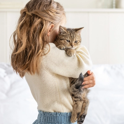 Eine Katze zieht ein