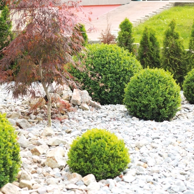 greenscaping dnger Phosphat Power Royal Zero K