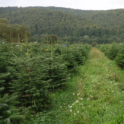 Energie & Ressourcen