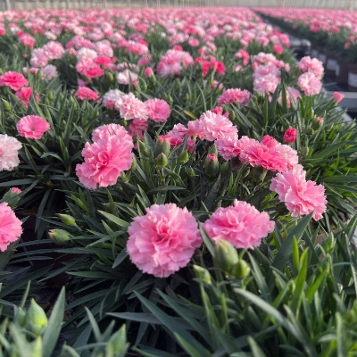 Energie & Ressourcen