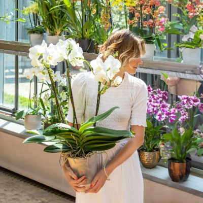 Nachhaltige & sichere Verpackungen