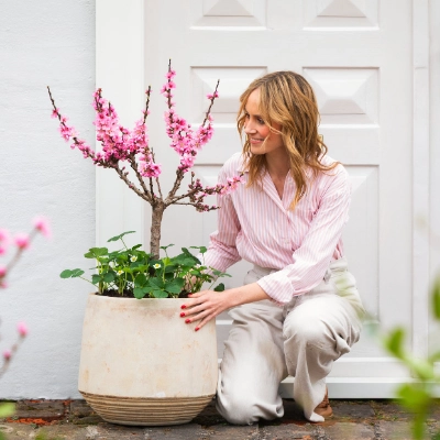 Säulen- & Zwergobst