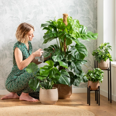 Bruchsicherer Versand