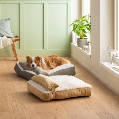 Hundebetten & Körbe