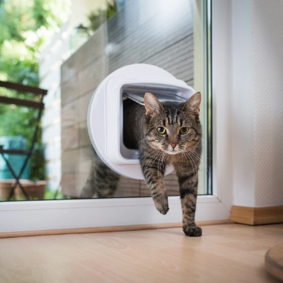 Balkon katzensicher gestalten | Dehner