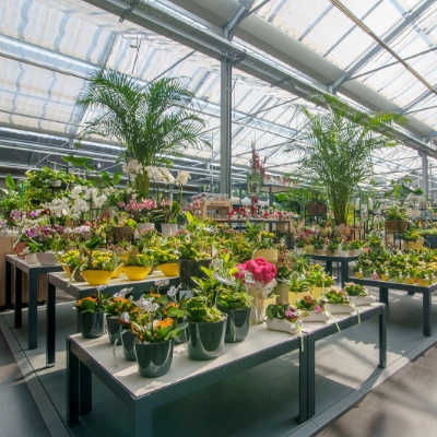Dehner GartenCenter in Magdeburg Dehner