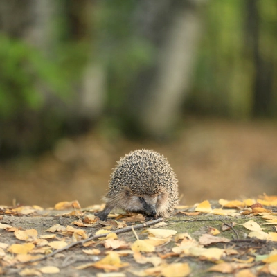 Außentemperatur unter 6 °C