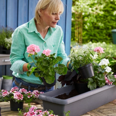 windschutz glas mit blumenkasten Mobiler Windschutz mit Pflanzkasten für Terrasse und Garten (Alu) –  Nordflair