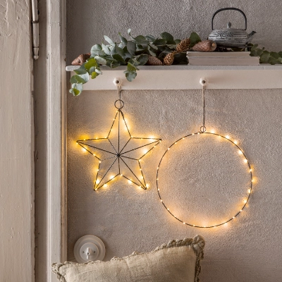 Stimmungsvolle Weihnachtssterne | Dehner