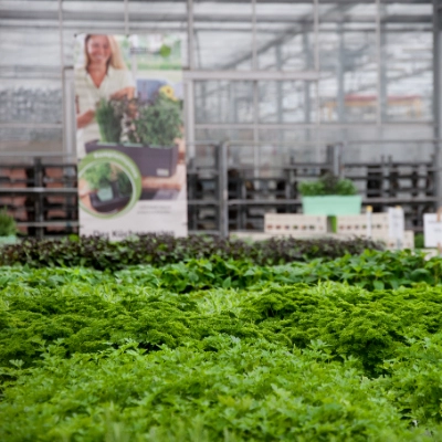 Energie & Ressourcen