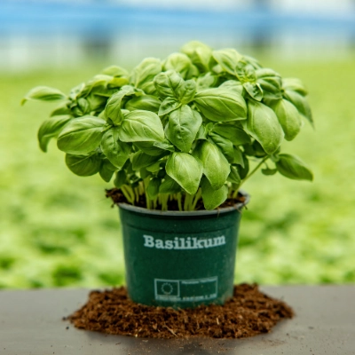 Verpackung/Transport